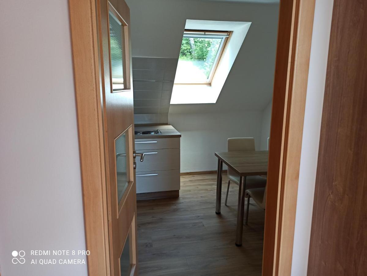 Ferienwohnung Apartma Na Lipne Horní Planá Exterior foto